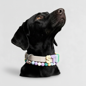 Premium-Qualität Hundezubehör-Hersteller DIY-Buchstaben Verstellbare Wasserdichte Personalisierte Design-Silikon-Hundehalsbänder - Product Image 3