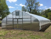 Serre agricole à tunnel unique Jiapei, économique, pour la culture de la tomate
