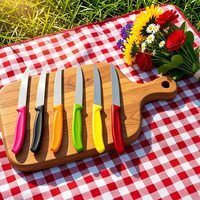 Couteau de cuisine ultra-affûté en acier inoxydable avec manche en plastique, petit couteau à éplucher, à fruits, à steak, pour steak, fruits, pain