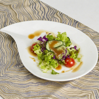 Assiettes en Porcelaine Fine Blanches Factopry pour Restaurants et Hôtels – Assiettes de Dîner en Céramique pour Mariages et Desserts