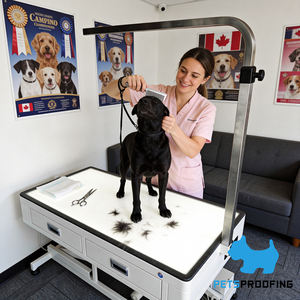 Table de toilettage électrique à LED durable réglable en hauteur pour grands chiens petits chats en fer Source d'alimentation incluse - Product Image 1