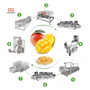 Gelgoog doğranmış IQF Mango parçaları tünel dondurucu işleme ekipmanları hattı Mango dondurucu makinesi