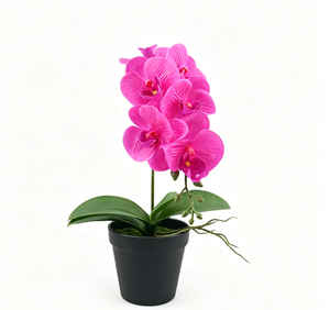 <span class=keywords><strong>Plante</strong></span> d'orchidée artificielle <span class=keywords><strong>en</strong></span> <span class=keywords><strong>pot</strong></span> de haute qualité, prix de gros imbattable, pour la décoration intérieure, mariages, remises de diplômes, Nouvel An - Product Image 1