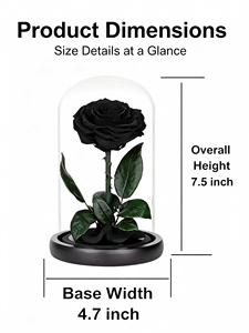 Roses noires préservées sous cloche en verre, fleurs préservées <span class=keywords><strong>de</strong></span> taille moyenne en provenance <span class=keywords><strong>de</strong></span> Chine, coffret cadeau pour femmes - Product Image 2