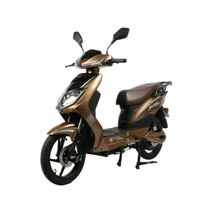 Wholesale 2 Wheel Cargo Carrying E moped motorcycles electric 48v 800w Pedal Assist Long Tail Electric Cargo Bike For Sale