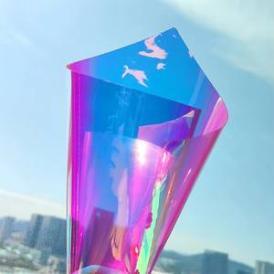 فيلم قزحي الألوان الصلب من الحيوانات الأليفة غير شفاف لتصفيح ألواح قوس قزح شفافة سيلوفان سميك - Product Image 5