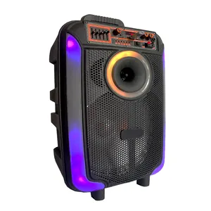 Alto-falante portátil de carrinho de luz led, 80w, alta potência, para festa, ar livre, karaoke, sistema de som de concerto, ao ar livre, 800w