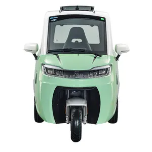 EEC Three Wheels Electric Tricycle Motorcycle Fully Enclosed Mobility Scooter Motor Electric Mini Car