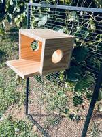 Nichoirs en bois pour hamsters transfrontaliers, mini cochons d'Inde, cochons d'Inde, nichoirs chauds pour animaux de compagnie, ratons laveurs, maisons en bois pour animaux, cages à oiseaux