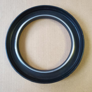 High-pressure Shaft Oil Seal 133*187*24 Tc High-wear-resistance <b>Rubber</b> Nbr Fkm Customized Size Supply China Manufacturer - Product Image 2