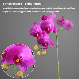 Orquídea artificial de tacto real al por mayor con tallos de alambre flexible, 5 orquídeas de mariposa para decoración de interiores, sala de estar y fiestas. - Product Image 2