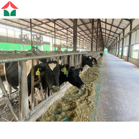 Kits de matériaux de construction métalliques, entrepôts préfabriqués, abris, structures, équipements, hangars préfabriqués, stockage en extérieur, ferme de vaches