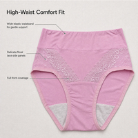 Culottes menstruelles réutilisables OEM en coton pour femmes grandes tailles, anti-fuites, fabriquées par un fabricant de sous-vêtements féminins