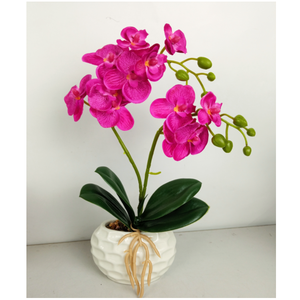 Set Bunga Anggrek Mini Bonsai Niceway Putih 5 Tangkai Sentuhan Asli Gaya Pedesaan Porselen Berlapis Dekorasi Rumah dan Taman - Product Image 3