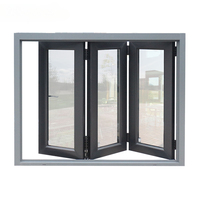 Puertas y Ventanas de Doble Vidrio con Revestimiento Resistente a Huracanes, Diseño Moderno de Alta Calidad, Gris, Horizontal, para Casas y Cocinas