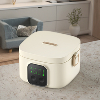 2025 personnalisable 500ml Rechargeable Portable électrique boîte à lunch sans fil chauffe-aliments pour bébé pour intérieur extérieur voiture ménage