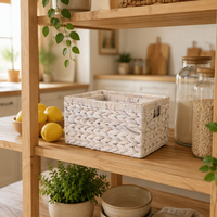 Paniers de rangement tressés avec poignée, boîtes décoratives, paniers en osier, paniers en jacinthe d'eau pour le rangement