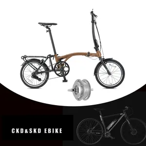 Generasi Baru Klasik Listrik Tri Sepeda Generasi Baru Ringan Folding Electric Bike dengan Pedal Membantu/