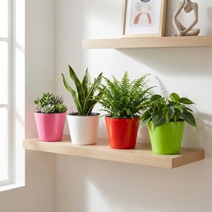 Eco-friendly <b>Square</b> Plastic Self Watering Plant <b>Pots</b> with Water Level Indicator for Indoor Desk Decor and Garden Plants - Product Image 2