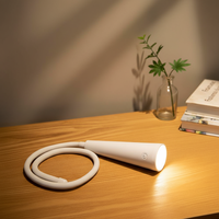Lampe de table flexible à LED réglable, design minimaliste moderne, rechargeable, personnalisable, avec éclairage RGB créatif, pour bureau