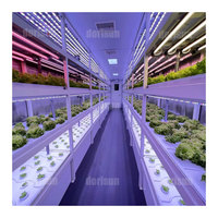 Conteneur hydroponique, agriculture à contrôle intelligent, conteneur de 40 pieds, serre micro-verdure pour culture hydroponique verticale NFT de laitues