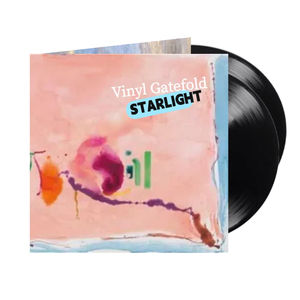 Cheap Price Cmyk Printed Color <strong>Blank</strong> Lp Disc <strong>Vinyl</strong> <strong>Record</strong> Pressing in Gatefold Jacket - Product Image 2