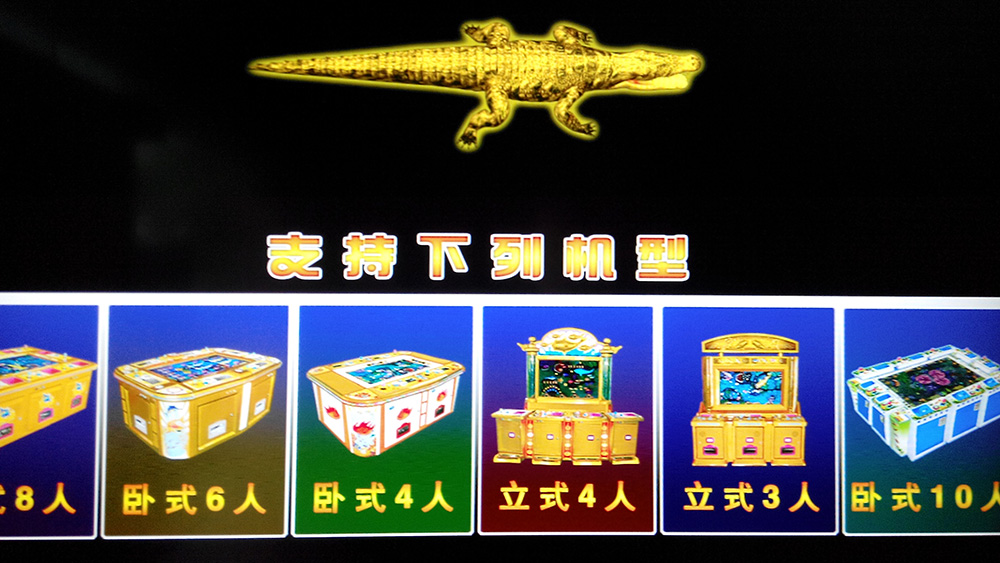 Crocodile tricolore