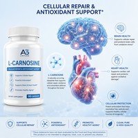 Capsules de L-Carnosine Naturelle Marque Blanche – Soutien Cérébral et Musculaire, Vitamine B1, Zinc, N-Acétyl, Suppléments de Calcium, Fer, Sélénium