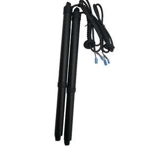 Nhanh chóng vận chuyển điện cổng sau cho haval H5 x-dog h6s DARGO chitu M6 H6 2nd thế hệ F5 bộ phận cơ thể cho xe - Product Image 6