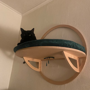 Muebles de pared para gatos que ahorran espacio, estante y cama de escalada con burbujas para gatos de interior - Product Image 5