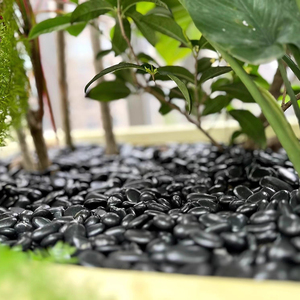 Sỏi tự nhiên mở mặt đất cảnh quan, mưa hoa đá, màu vàng, đỏ, trắng, đen, nhỏ, Ngỗng đá mềm, sỏi - Product Image 4