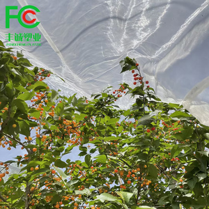 Sacchetti di rete per la copertura dell'albero da frutto del frutteto sacchetti di rete anti-insetti anti-mosche anti-uccello - Product Image 6