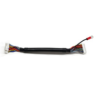 Ensemble de faisceau de câbles personnalisé CJT A2008H 22P à 14P, série SMH200, avec fil UL2517 24AWG et borne annulaire M4