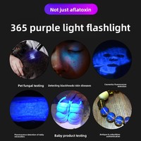 Lampe torche LED rechargeable en alliage d'aluminium à miroir noir, 20W haute puissance, lumière UV 365nm, détection d'argent, authentification, IP20, 100m