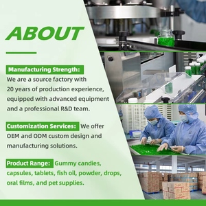 Gainer de masse triple chocolat OEM/ODM, 31g de protéines par portion, à mélanger avec <span class=keywords><strong>du</strong></span> lait, favorise la croissance et la récupération musculaire, sac de 1kg, personnalisable - Product Image 6