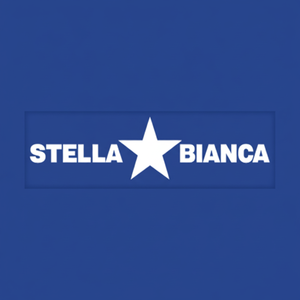 Stella bianca 35mm elettrolitica diamante nucleo punta per il modello di 067035 in muratura e calcestruzzo - Product Image 1