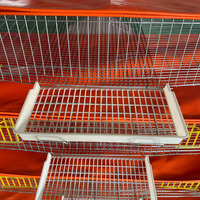 Cage d'élevage de cailles en treillis métallique galvanisé, cage à batterie de type H pour l'élevage de cailles pondeuses pour la production d'œufs