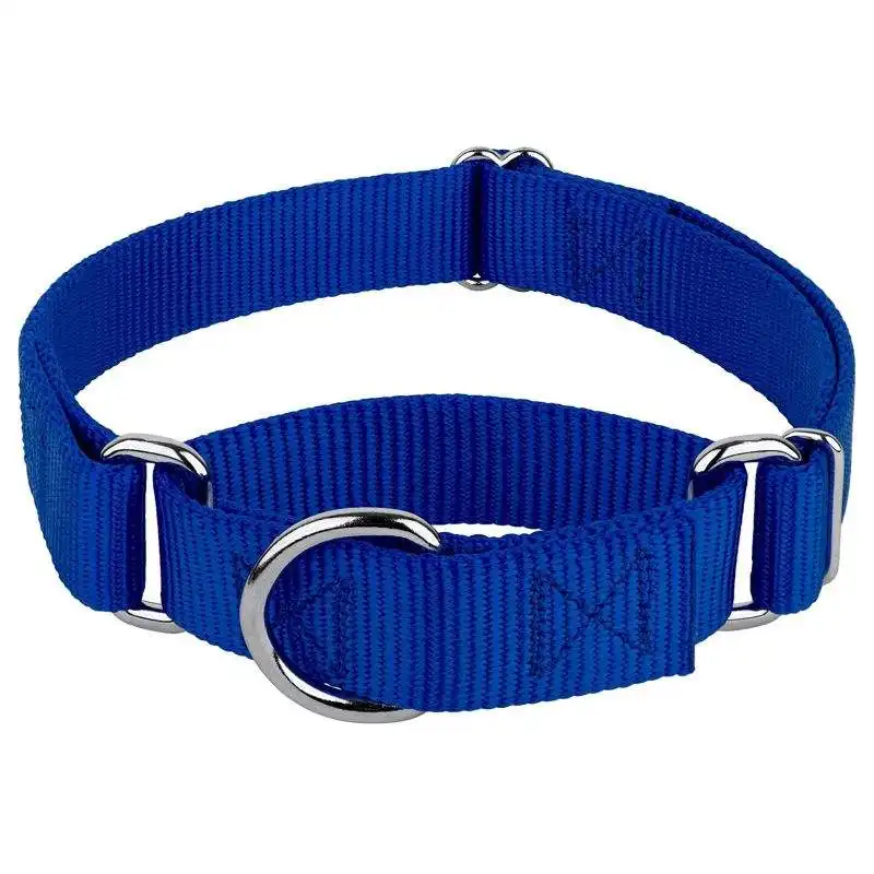 Adjustable Metal Buckle Collar Custom Logo Training Martingale Nylon Dog collar