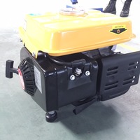 MINI Benzingenerator 800W 2-Takt 2PS Hochwertiger OEM Leiser Tragbarer Benzingenerator 800W 700W