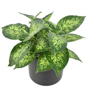 Tanaman hijau buatan daun besar dekorasi interior lanskap - Product Image 4