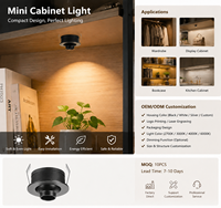 Lampe LED encastrée pour armoire 1W OEM/ODM CRI90 USA Aluminium Noir Découpe 30mm 25mm pour Maison Hôtel
