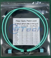 Cable de Fibra Óptica MPO de 5 Metros del Fabricante, Tipo B, Cable de Conexión MTP, 12F OM3, 3.0MM, LSZH, Certificado CE, Garantía de 5 Años para Redes Interiores