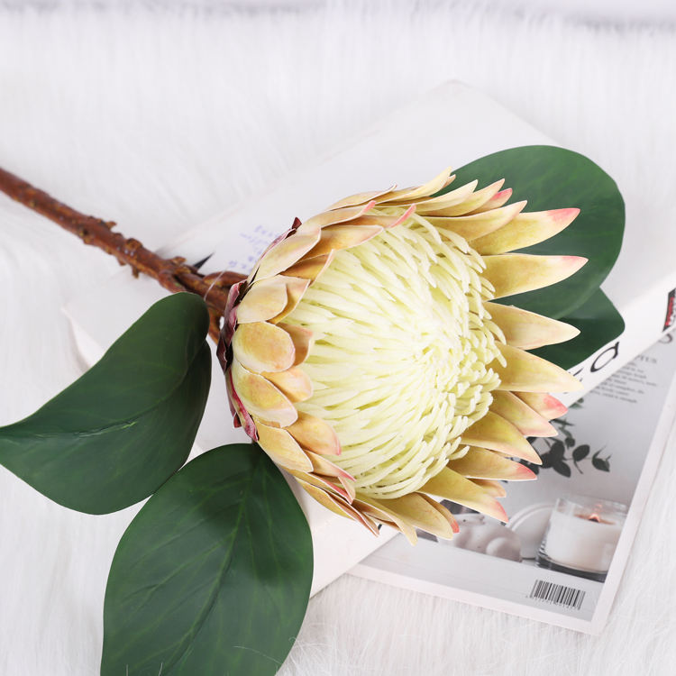 Style2-สีเขียวอ่อน