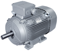 Motor Listrik AC Tiga Fasa Asinkron Efisiensi Tinggi Industri 380V 50Hz IE3 Efisiensi 315kW Proteksi IP55