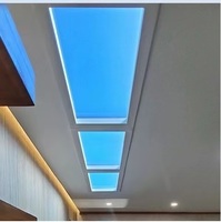 Diskon besar 300x600mm Led Panel langit-langit buatan Skylight Virtual Skylight Led cahaya matahari cahaya biru langit pencahayaan