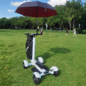 Carrito de Golf de Largo Alcance M12-3, Último Modelo, Batería de Litio de 48V 20Ah, Potencia de 2400W, con Asiento y Sombrilla, M12-3 Golf T - Product Image 1