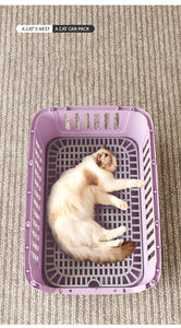 <span class=keywords><strong>Prix</strong></span> usine boîte de Transport pour animaux de compagnie de luxe réglable maille chien Cage de voyage Portable en plastique fil porte compagnie aérienne approuvée pour vétérinaire - Product Image 2