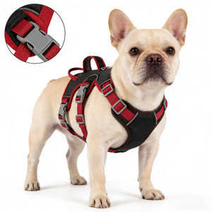 Rompi <span class=keywords><strong>Harness</strong></span> Hewan Peliharaan Gaya Kartun YG-888 dengan Dekorasi Rivet dan Renda - Product Image 3