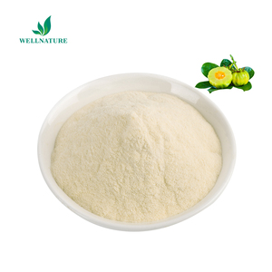 Extracto Herbal de <span class=keywords><strong>Garcinia</strong></span> <span class=keywords><strong>Cambogia</strong></span> de Alta Calidad, Grado Alimenticio, 10% HCA en Polvo para Pérdida de Peso - Product Image 3