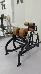 Equipo de Gimnasio de Alta Durabilidad para Entrenamiento de Fuerza y Musculación, Ejercicios de Espalda y Piernas, Extensión de Glúteos/Isquiotibiales, Directo de Fábrica - Product Image 5